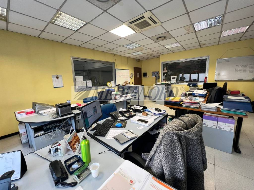 immagine annuncio 4 di 11