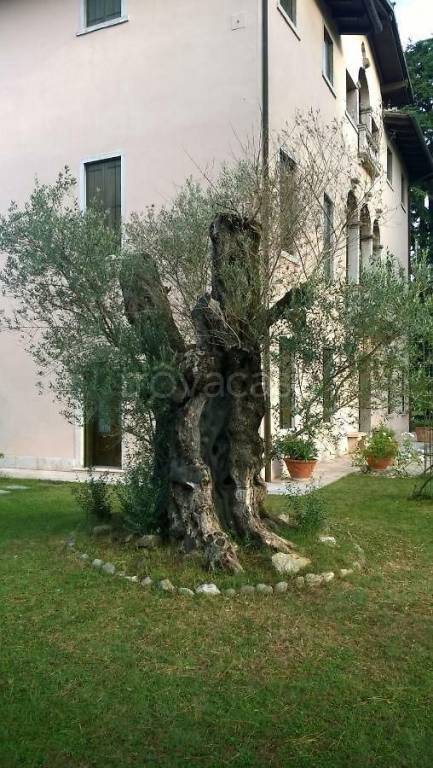 immagine annuncio 5 di 8