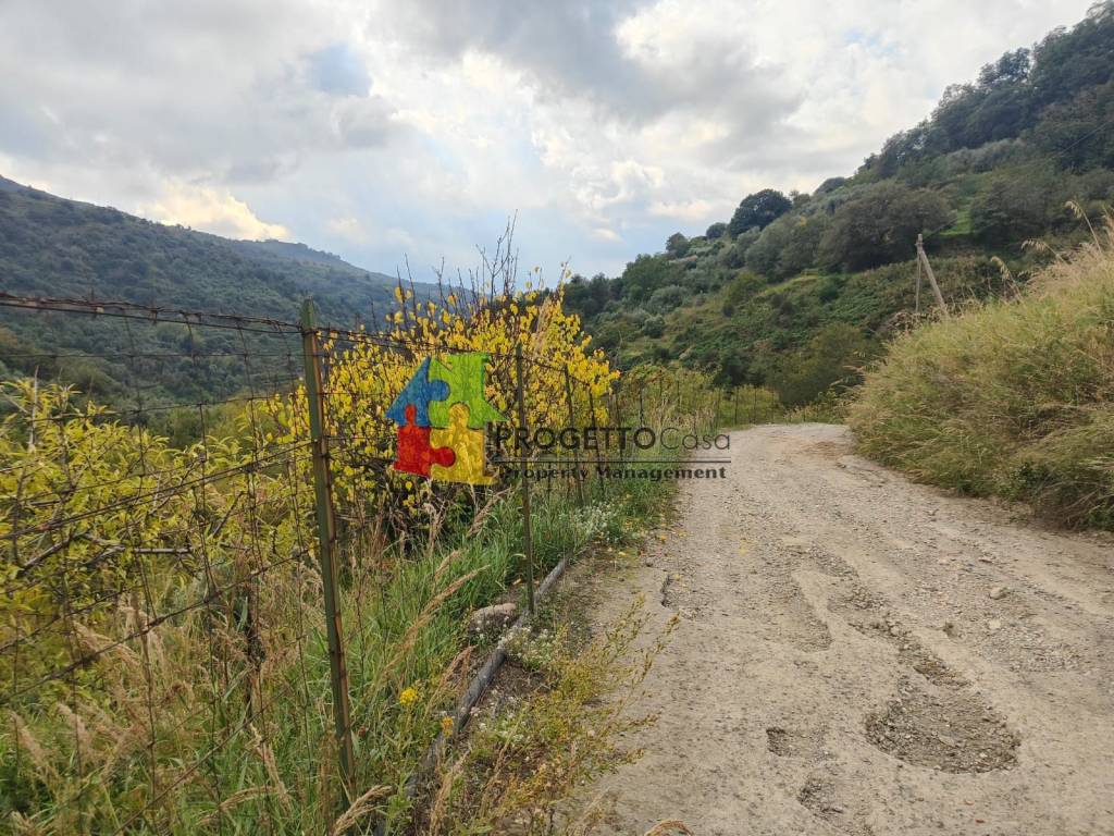 immagine annuncio 4 di 8