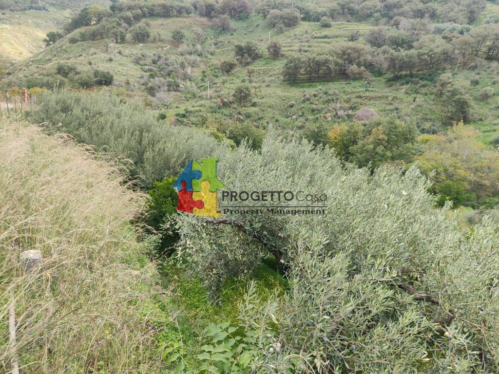 immagine annuncio 5 di 8
