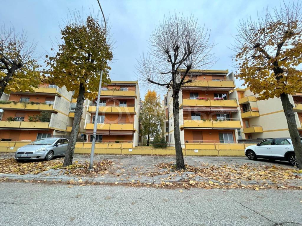 immagine annuncio 12 di 13