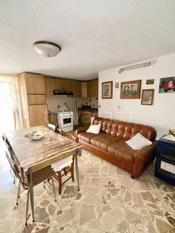 immagine annuncio 6 di 14