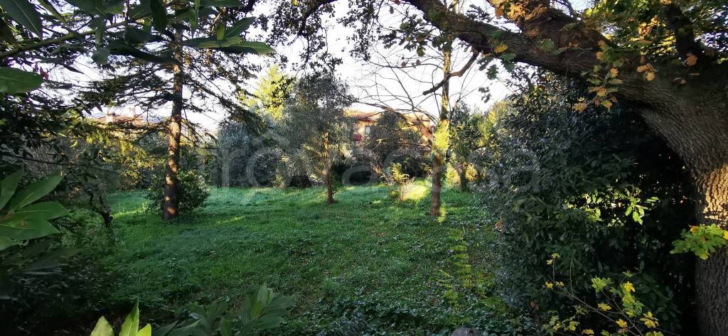 immagine annuncio 5 di 6