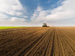 Terreno agricolo in vendita a monte san pietrangeli contrada san giuseppe, snc