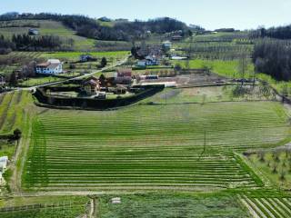 Terreno agricolo in vendita a costigliole d'asti strada san pancrazio