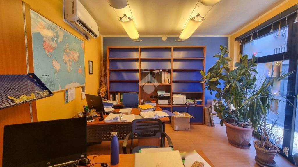 immagine annuncio 3 di 14