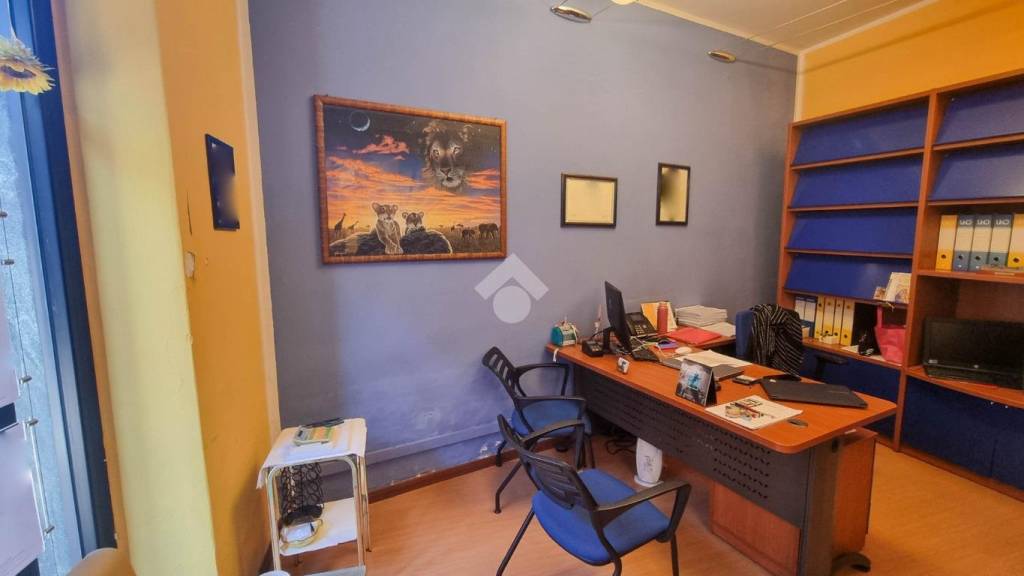 immagine annuncio 10 di 14
