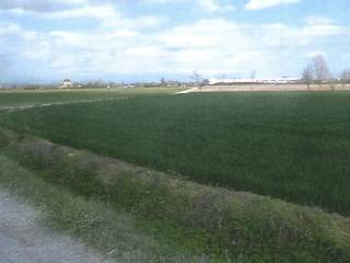 Terreno agricolo all'asta a pumenengo cascina cornale