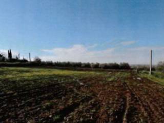 Terreno agricolo all'asta a viterbo strada della volpara