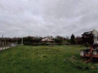 Terreno agricolo all'asta a viterbo via dell'olmo