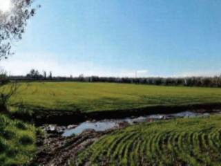 Terreno agricolo all'asta a viterbo strada della volpara