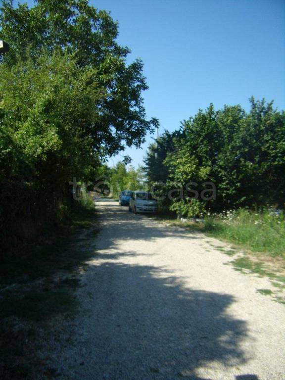 immagine annuncio 3 di 6