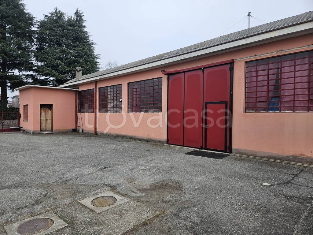 immagine annuncio 3 di 15