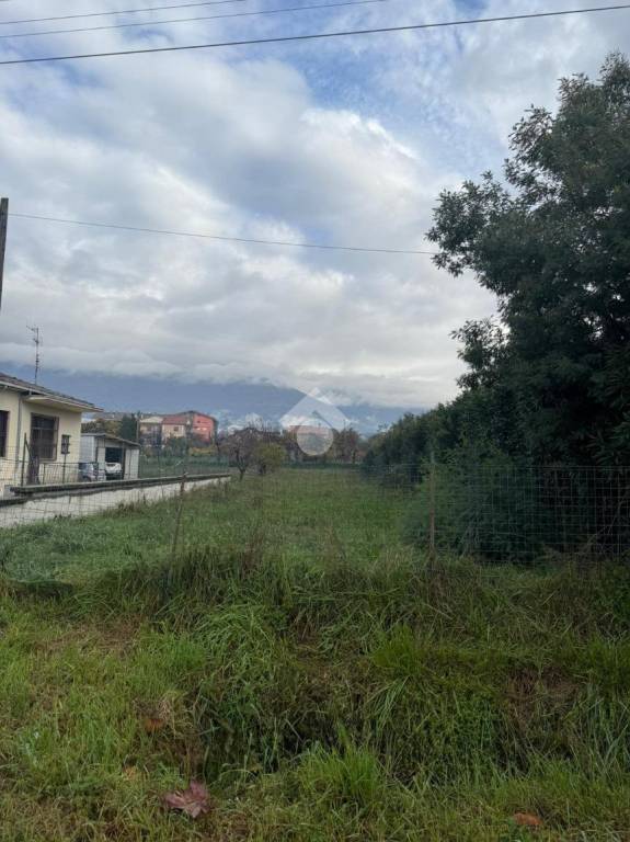 immagine annuncio 2 di 8