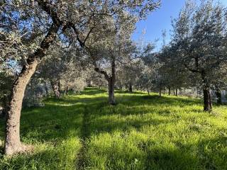 Terreno agricolo in vendita a terni casali pacelli, 9