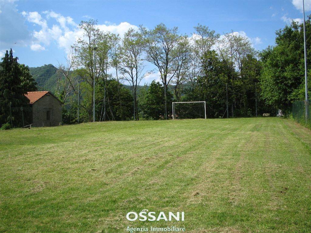 immagine annuncio 4 di 7