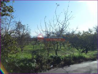 Terreno agricolo in vendita a somma vesuviana via vignariello