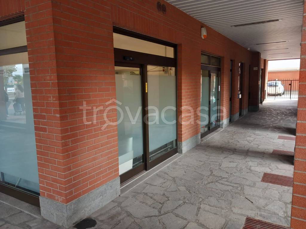 immagine annuncio 11 di 12