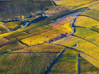 Terreno agricolo in vendita a monforte d'alba via roma