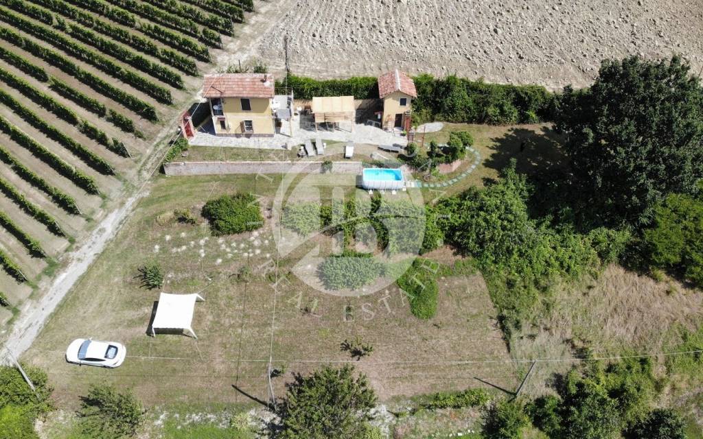 immagine annuncio 11 di 12