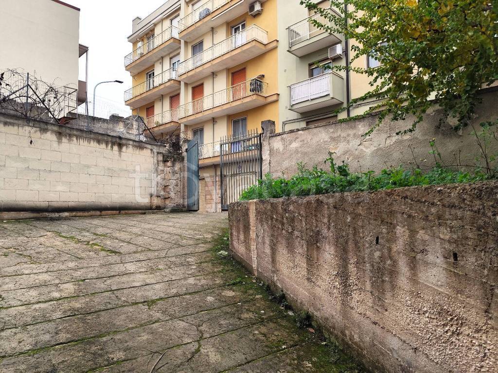 immagine annuncio 3 di 6