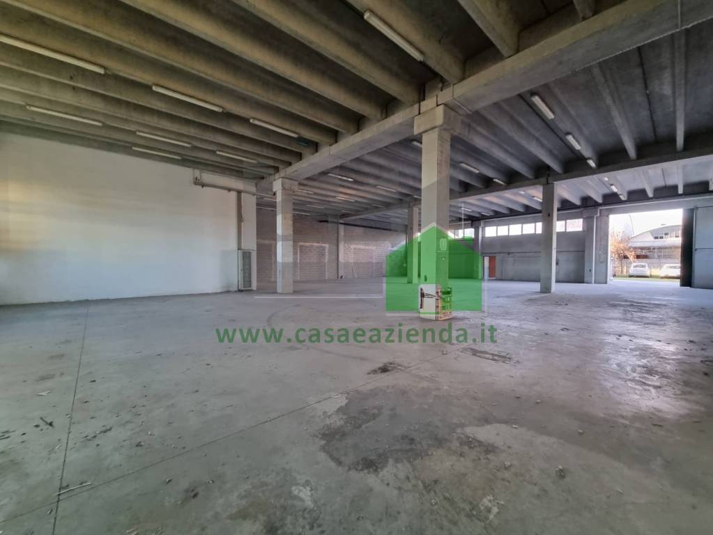 immagine annuncio 4 di 8