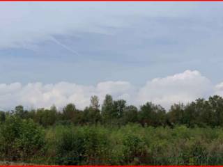 Terreno agricolo all'asta a pordenone via musile