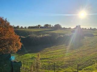 Terreno agricolo in vendita a colle di val d'elsa 