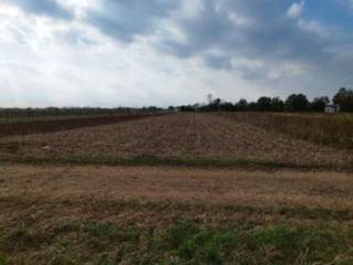 Terreno agricolo all'asta a bertiolo via nespoledo