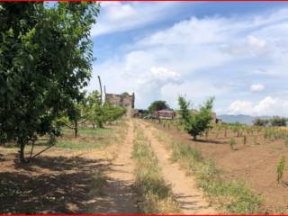 Terreno agricolo all'asta a pignataro maggiore sp148