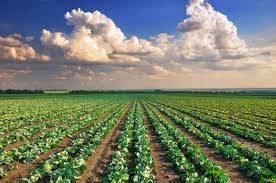 Terreno agricolo in vendita a fermo via san marco, snc