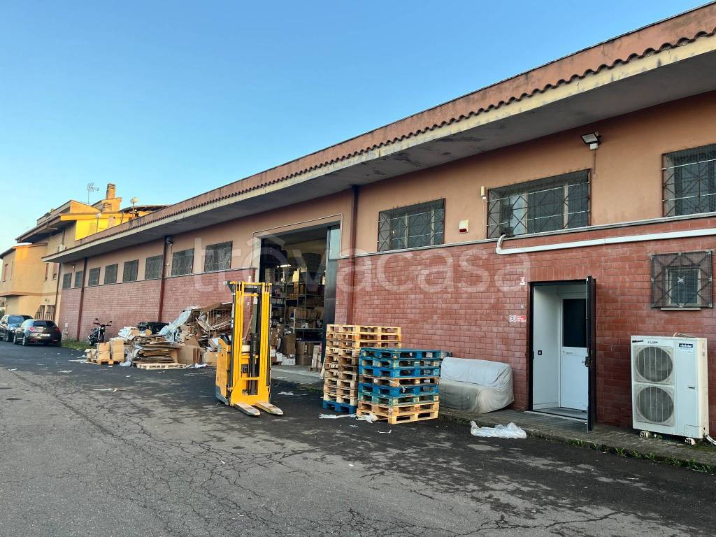 immagine annuncio 1 di 14