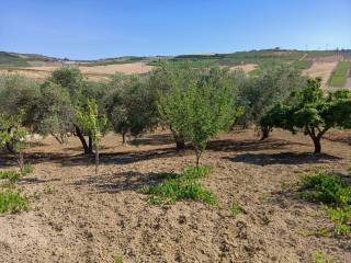 Terreno agricolo in vendita a camastra via arciprete di caro, 40