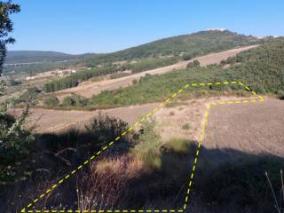 Terreno agricolo all'asta a filiano localita meccadinardo