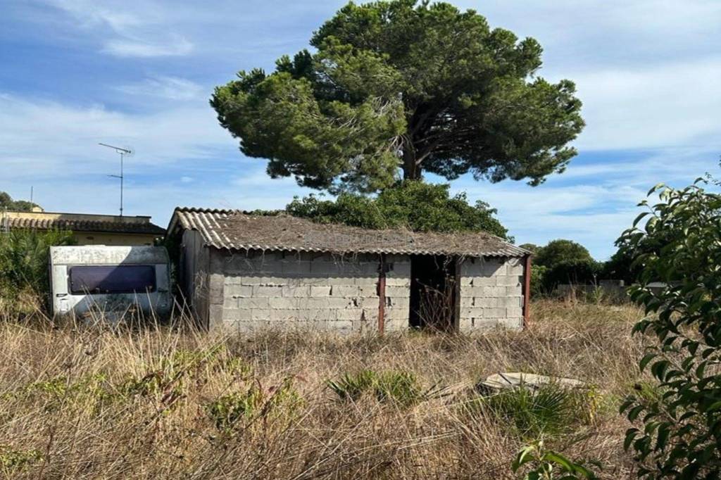 immagine annuncio 6 di 14