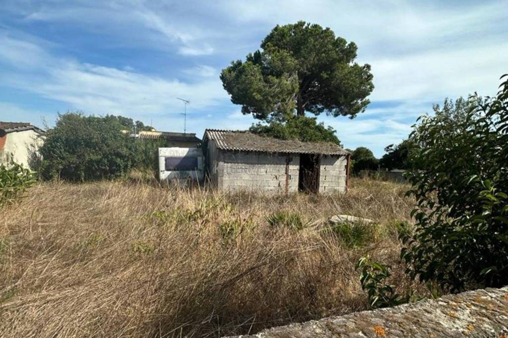 immagine annuncio 7 di 14