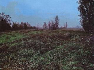 Terreno agricolo all'asta a ferrara via penavara