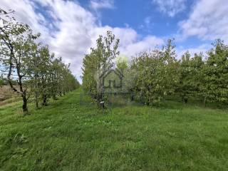 Terreno agricolo in vendita a villanova sull'arda via roma