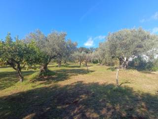 Terreno residenziale in vendita a lamezia terme via guglielmo marconi