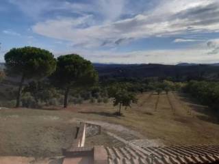 Casale in vendita ad asciano strada provinciale del pecorile