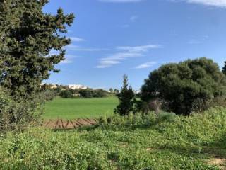 Terreno agricolo all'asta a scicli contrada samuele