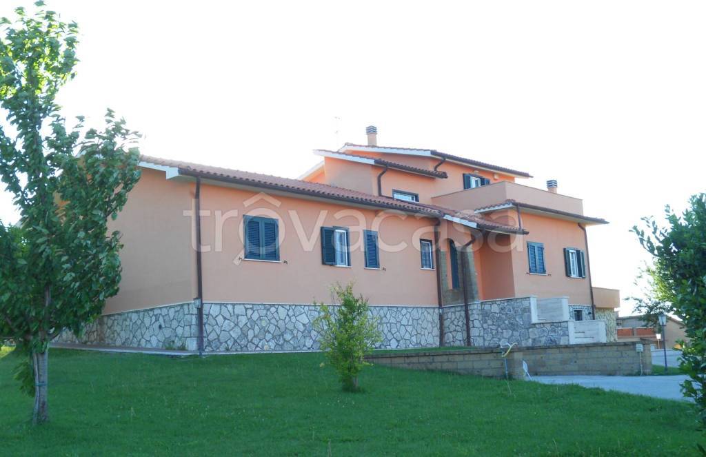 immagine annuncio 4 di 11