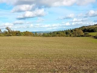 Terreno agricolo in vendita a farnese località saltarello