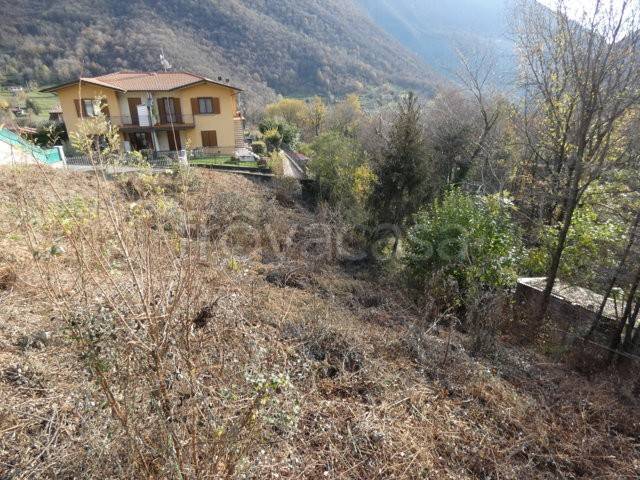 immagine annuncio 6 di 12