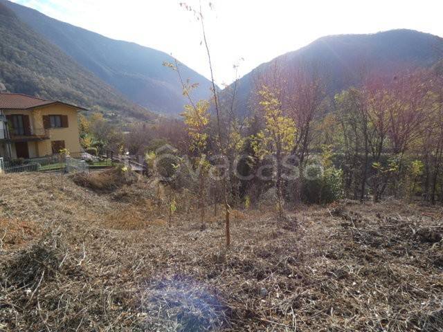 immagine annuncio 7 di 12