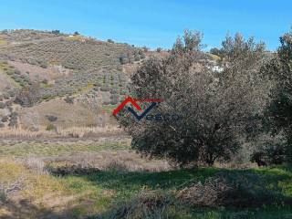 Terreno agricolo in vendita ad alcamo contrada virgini