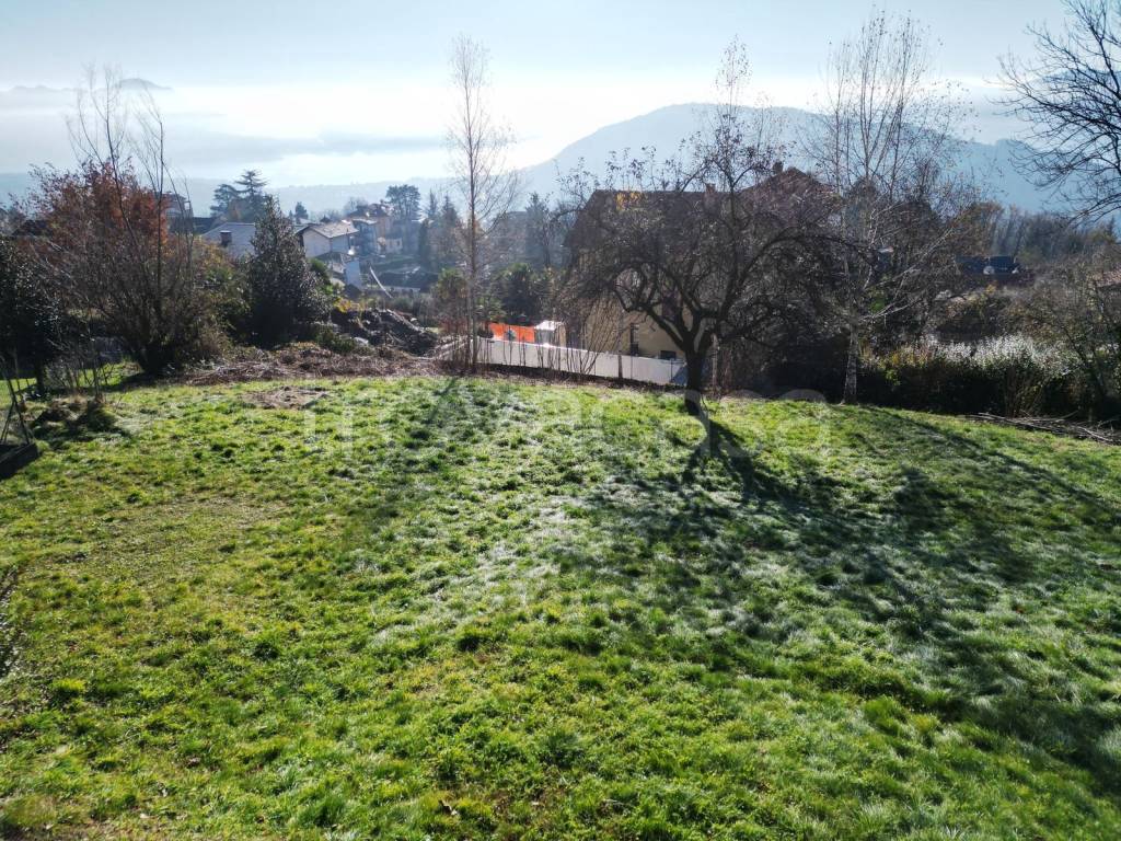 immagine annuncio 6 di 14