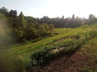 Cascina in vendita a conegliano via guizza