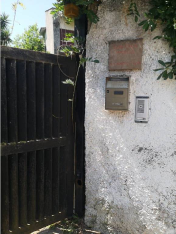 immagine annuncio 5 di 12