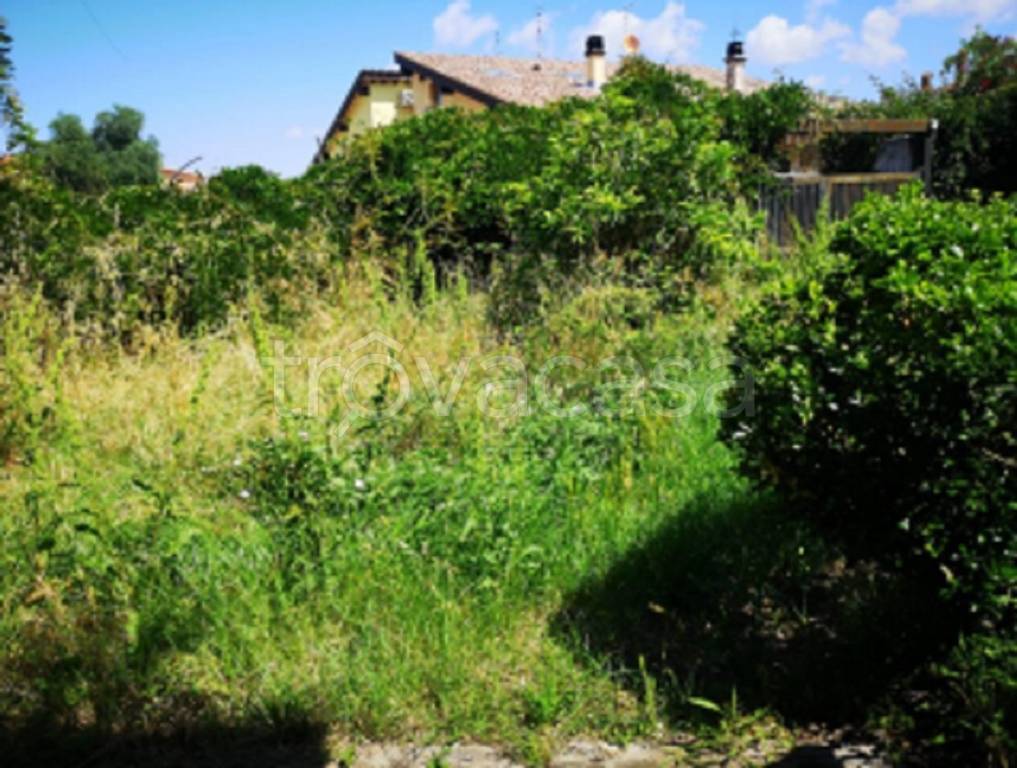 immagine annuncio 3 di 12